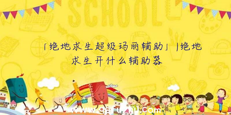 「绝地求生超级玛丽辅助」|绝地求生开什么辅助器